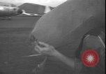 Standbild belgische Soldaten Leopoldville Republik Kongo, 1964, aus Sekunde 22 historischem Filmmaterial Videoclip 65675058315