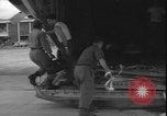 Standbild verletzte Flüchtlinge Leopoldville Republik Kongo, 1964, aus Sekunde 35 historischem Filmmaterial Videoclip 65675058326