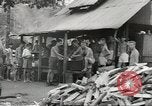 Image of Allied prisoners liberated from Japanese prison camps Pacific Theater, 1945, second 56 stock footage video 65675058336