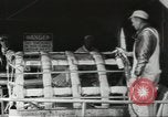 Image of American armed forces cut 90 percent United States USA, 1946, second 25 stock footage video 65675058353