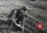 Image of American armed forces cut 90 percent United States USA, 1946, second 44 stock footage video 65675058353