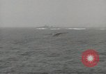 Image of Aircraft operations aboard aircraft carrier USS Independence Pacific Theater, 1943, second 57 stock footage video 65675058371