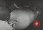 Image of World War 2 operations aboard USS Independence CVL-22 Pacific Theater, 1943, second 18 stock footage video 65675058372