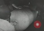 Image of World War 2 operations aboard USS Independence CVL-22 Pacific Theater, 1943, second 19 stock footage video 65675058372
