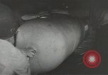 Image of World War 2 operations aboard USS Independence CVL-22 Pacific Theater, 1943, second 22 stock footage video 65675058372