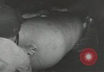 Image of World War 2 operations aboard USS Independence CVL-22 Pacific Theater, 1943, second 23 stock footage video 65675058372
