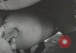 Image of World War 2 operations aboard USS Independence CVL-22 Pacific Theater, 1943, second 28 stock footage video 65675058372