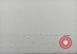Image of planes flying over carrier Independence Pacific Theater, 1943, second 53 stock footage video 65675058375