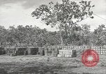 Immagine di Allied le operazioni anfibie nella seconda guerra mondiale Italia, 1943, secondo 4 filmato di repertorio 65675058393