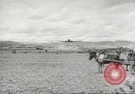 Immagine di Allied le operazioni anfibie nella seconda guerra mondiale Italia, 1943, secondo 10 filmato di repertorio 65675058393