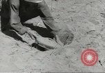 Standbild Amphibische Operationen in Zweiten Weltkrieg Italien, 1943, aus Sekunde 10 historischem Filmmaterial Videoclip 65675058394