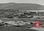 Image of Japanese Zero planes Aleutian Islands Alaska USA, 1943, second 37 stock footage video 65675058412