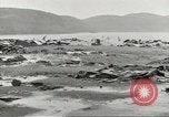 Image of Japanese Zero planes Aleutian Islands Alaska USA, 1943, second 40 stock footage video 65675058412