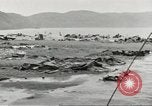 Image of Japanese Zero planes Aleutian Islands Alaska USA, 1943, second 42 stock footage video 65675058412