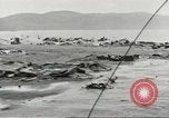 Image of Japanese Zero planes Aleutian Islands Alaska USA, 1943, second 43 stock footage video 65675058412