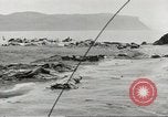 Image of Japanese Zero planes Aleutian Islands Alaska USA, 1943, second 44 stock footage video 65675058412