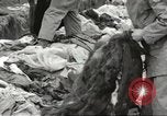 Image of American soldiers Aleutian Islands Alaska USA, 1943, second 48 stock footage video 65675058413