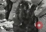 Image of American soldiers Aleutian Islands Alaska USA, 1943, second 49 stock footage video 65675058413