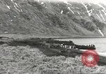 Image of American forces land on Attu Island Aleutian Islands Alaska USA, 1943, second 19 stock footage video 65675058416