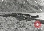 Image of American forces land on Attu Island Aleutian Islands Alaska USA, 1943, second 21 stock footage video 65675058416