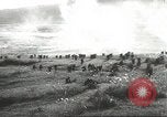 Image L'empereur Hirohito sur un cheval blanc théâtre du Pacifique, 1944, de la seconde 59 séquences d'archives historiques vidéo 65675058419