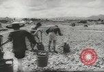 Standbild chinesische Arbeitskräfte China, 1943, aus Sekunde 46 historischem Filmmaterial Videoclip 65675058427