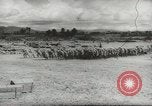 Standbild chinesische Arbeitskräfte China, 1943, aus Sekunde 54 historischem Filmmaterial Videoclip 65675058427