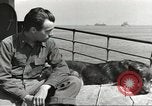 Image of American soldiers Aleutian Islands Alaska USA, 1943, second 16 stock footage video 65675058448