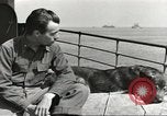 Image of American soldiers Aleutian Islands Alaska USA, 1943, second 20 stock footage video 65675058448