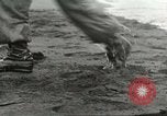 Image of Amphibious Task Force 9 Aleutian Islands Alaska USA, 1943, second 60 stock footage video 65675058454