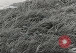 Image of American soldiers Aleutian Islands Alaska USA, 1943, second 33 stock footage video 65675058456