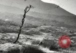 Standbild amerikanische Infanterie Pacific Theater, 1943, aus Sekunde 1 historischem Filmmaterial Videoclip 65675058464