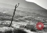 Standbild amerikanische Infanterie Pacific Theater, 1943, aus Sekunde 3 historischem Filmmaterial Videoclip 65675058464