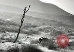 Standbild amerikanische Infanterie Pacific Theater, 1943, aus Sekunde 4 historischem Filmmaterial Videoclip 65675058464