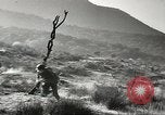 Standbild amerikanische Infanterie Pacific Theater, 1943, aus Sekunde 6 historischem Filmmaterial Videoclip 65675058464