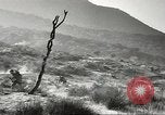 Standbild amerikanische Infanterie Pacific Theater, 1943, aus Sekunde 7 historischem Filmmaterial Videoclip 65675058464