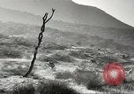 Standbild amerikanische Infanterie Pacific Theater, 1943, aus Sekunde 8 historischem Filmmaterial Videoclip 65675058464