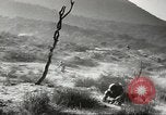 Standbild amerikanische Infanterie Pacific Theater, 1943, aus Sekunde 12 historischem Filmmaterial Videoclip 65675058464