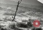 Standbild amerikanische Infanterie Pacific Theater, 1943, aus Sekunde 13 historischem Filmmaterial Videoclip 65675058464