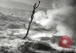 Standbild amerikanische Infanterie Pacific Theater, 1943, aus Sekunde 16 historischem Filmmaterial Videoclip 65675058464