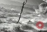 Standbild amerikanische Infanterie Pacific Theater, 1943, aus Sekunde 24 historischem Filmmaterial Videoclip 65675058464