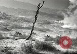Standbild amerikanische Infanterie Pacific Theater, 1943, aus Sekunde 26 historischem Filmmaterial Videoclip 65675058464