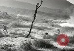 Standbild amerikanische Infanterie Pacific Theater, 1943, aus Sekunde 28 historischem Filmmaterial Videoclip 65675058464