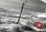 Standbild amerikanische Infanterie Pacific Theater, 1943, aus Sekunde 29 historischem Filmmaterial Videoclip 65675058464