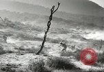 Standbild amerikanische Infanterie Pacific Theater, 1943, aus Sekunde 30 historischem Filmmaterial Videoclip 65675058464