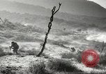 Standbild amerikanische Infanterie Pacific Theater, 1943, aus Sekunde 32 historischem Filmmaterial Videoclip 65675058464