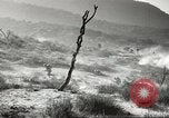 Standbild amerikanische Infanterie Pacific Theater, 1943, aus Sekunde 33 historischem Filmmaterial Videoclip 65675058464