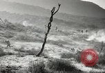Standbild amerikanische Infanterie Pacific Theater, 1943, aus Sekunde 34 historischem Filmmaterial Videoclip 65675058464