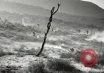 Standbild amerikanische Infanterie Pacific Theater, 1943, aus Sekunde 35 historischem Filmmaterial Videoclip 65675058464