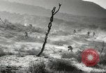 Standbild amerikanische Infanterie Pacific Theater, 1943, aus Sekunde 36 historischem Filmmaterial Videoclip 65675058464